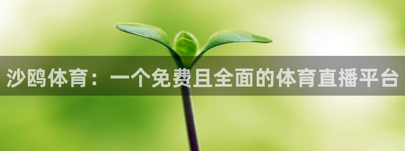 沙鸥体育：一个免费且全面的体育直播平台