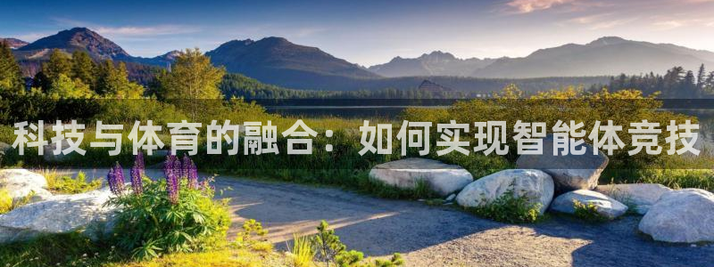 科技与体育的融合：如何实现智能体竞技
