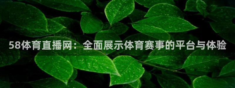 58体育直播网：全面展示体育赛事的平台与体验