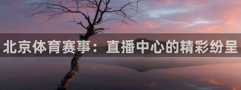 北京体育赛事：直播中心的精彩纷呈