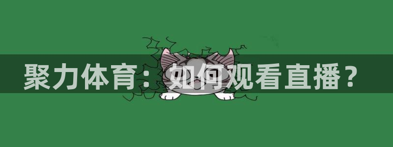聚力体育：如何观看直播？