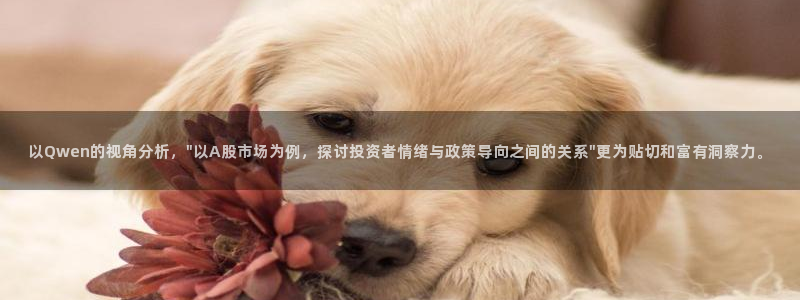 以Qwen的视角分析，\