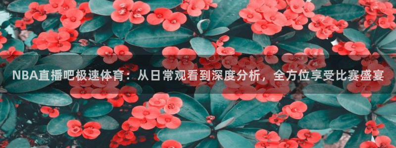 NBA直播吧极速体育：从日常观看到深度分析，全方位享受比赛盛宴