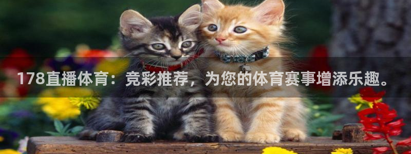 178直播体育：竞彩推荐，为您的体育赛事增添乐趣。