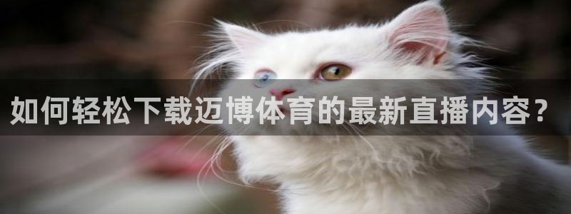 如何轻松下载迈博体育的最新直播内容？