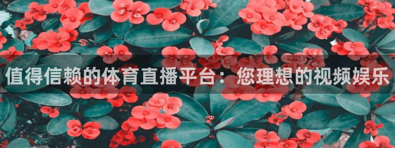 值得信赖的体育直播平台：您理想的视频娱乐