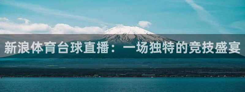 新浪体育台球直播：一场独特的竞技盛宴
