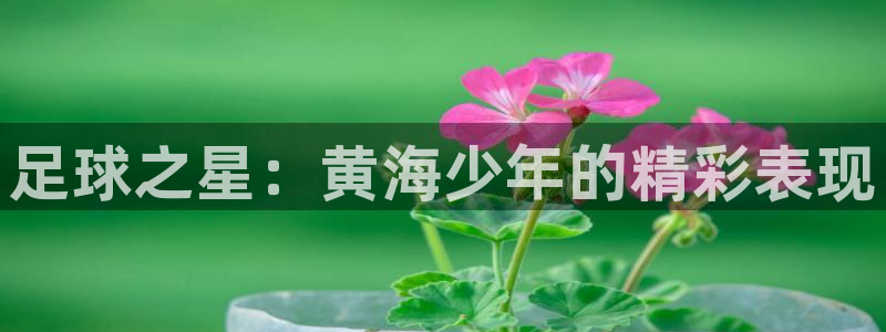 足球之星：黄海少年的精彩表现