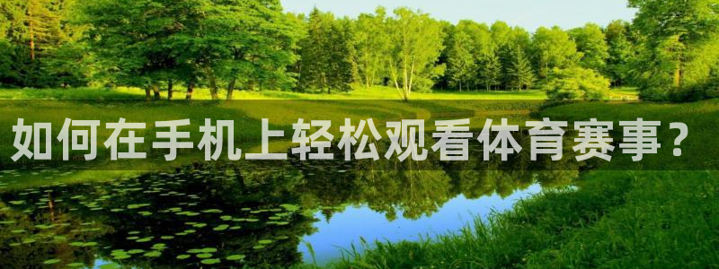 如何在手机上轻松观看体育赛事？