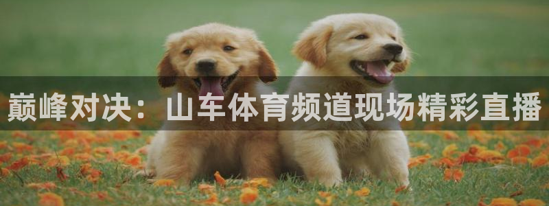 巅峰对决：山车体育频道现场精彩直播
