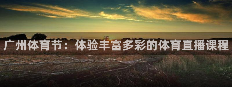广州体育节：体验丰富多彩的体育直播课程