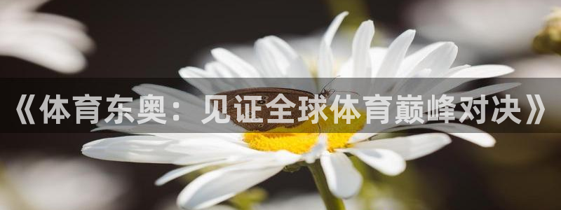 《体育东奥：见证全球体育巅峰对决》