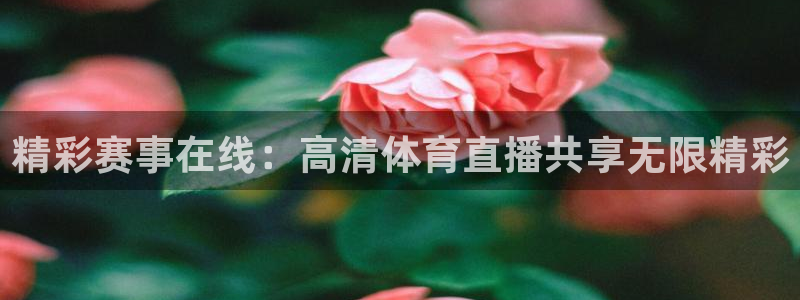 精彩赛事在线：高清体育直播共享无限精彩