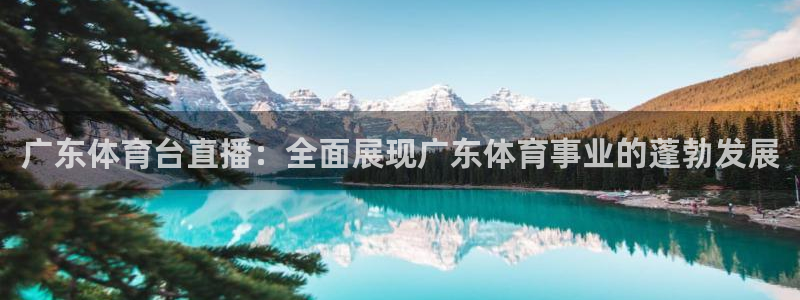 广东体育台直播：全面展现广东体育事业的蓬勃发展
