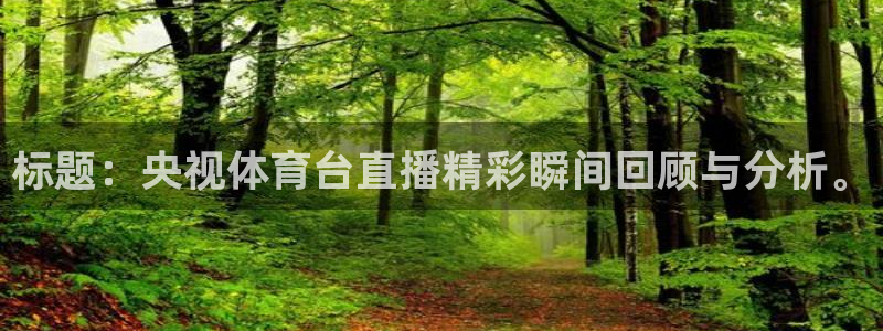 标题：央视体育台直播精彩瞬间回顾与分析。