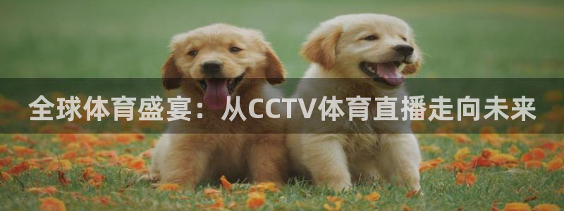 全球体育盛宴：从CCTV体育直播走向未来
