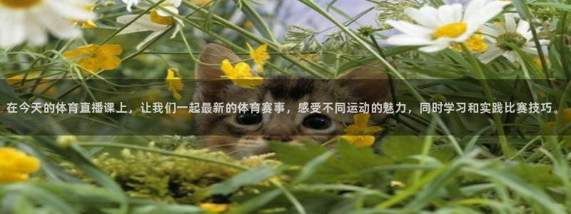 在今天的体育直播课上，让我们一起最新的体育赛事，感受不同运动的魅力，同时学习和实践比赛技巧。