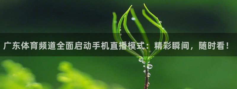 广东体育频道全面启动手机直播模式：精彩瞬间，随时看！