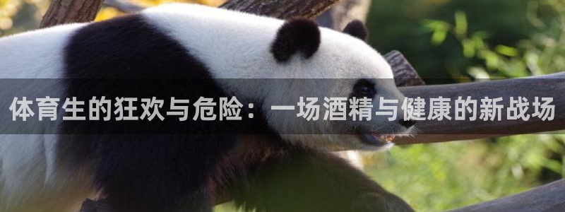 体育生的狂欢与危险：一场酒精与健康的新战场