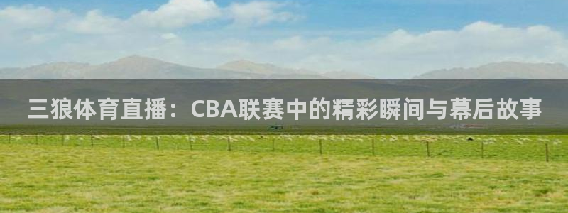 三狼体育直播：CBA联赛中的精彩瞬间与幕后故事