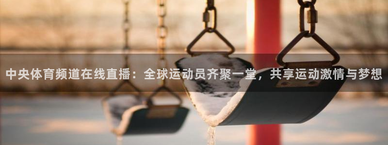 中央体育频道在线直播：全球运动员齐聚一堂，共享运动激情与梦想