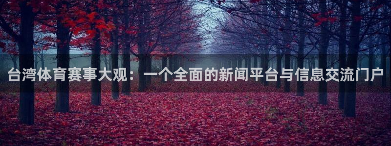 台湾体育赛事大观：一个全面的新闻平台与信息交流门户