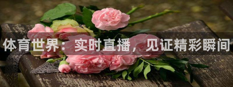 体育世界：实时直播，见证精彩瞬间