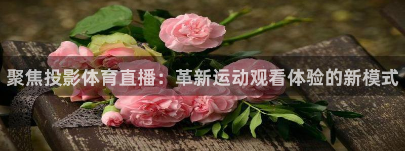 聚焦投影体育直播：革新运动观看体验的新模式