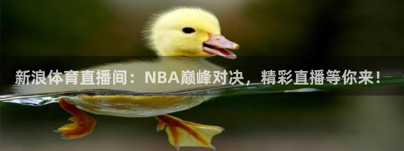 新浪体育直播间：NBA巅峰对决，精彩直播等你来！