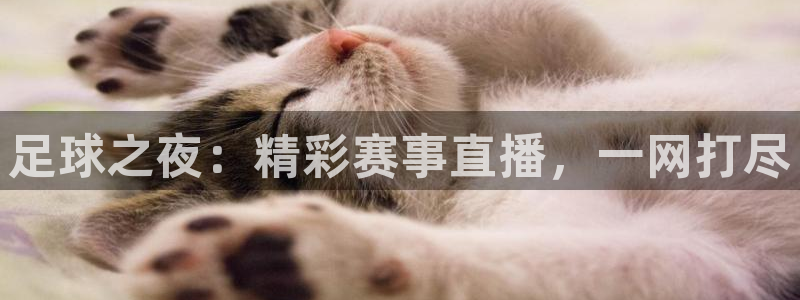 足球之夜：精彩赛事直播，一网打尽